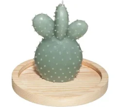 New * Bougie Avec Cloche En Verre