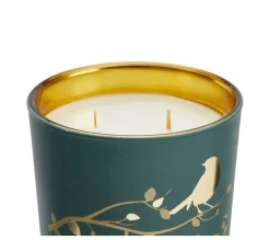 Shop * Bougie Oiseau H. 11 Cm Ulciana Vert