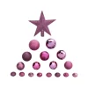 FEERIC LIGHTS AND CHRISTMAS Guirlande Et Boule De Sapin^ Déco De Sapin De Noël Kit De 18 Pieces Boules Et Cimier - Cassis Et Fuchsia