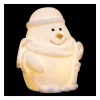 Store FEERIC LIGHTS AND CHRISTMAS Sujet De Noël Lumineux Personnage Led Blanc Chaud