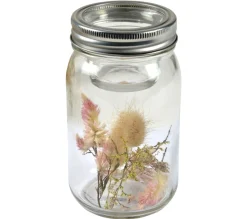 Discount * Photophore Design "Harmonie" 13Cm Transparent