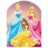 STAR CUTOUTS Anniversaire Et Autres Fêtes^ Figurine En Carton Passe Tete Princesse Disney Cendrillon, Belle, Aurore H 127 Cm